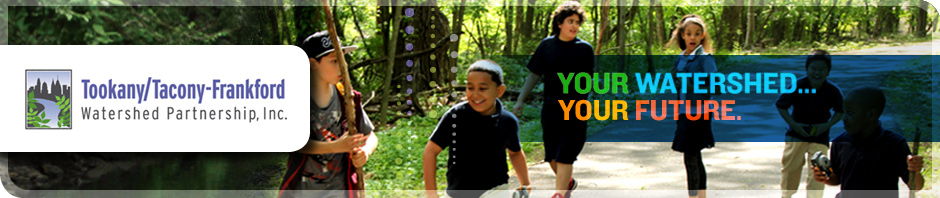 TTF Watershed Header 3New