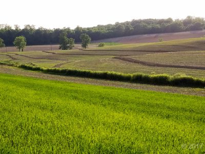 Contour Swale Profile