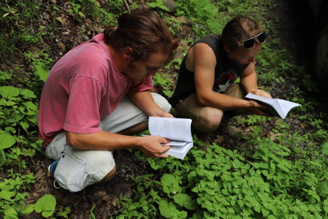 Josh and Tomias identifying wildflowers.