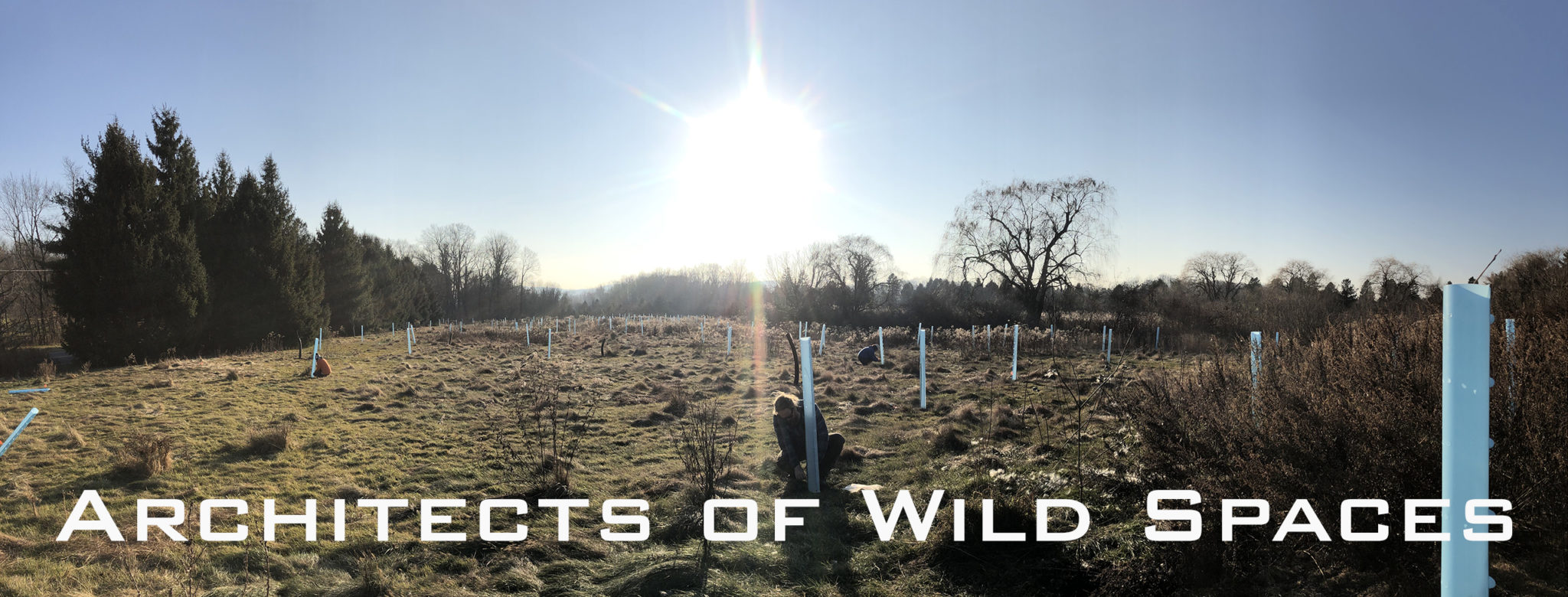 2019 ArcheWild – Woodland Hills – Cover picture with title 2560