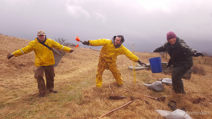 ArcheWild Planting Services Helps Reforest Spruce Knob ArcheWild